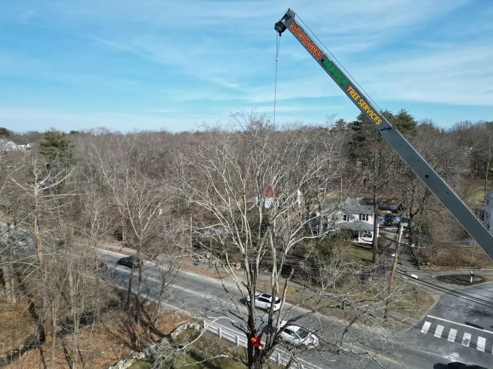 work photo from mapletreeservices.net
