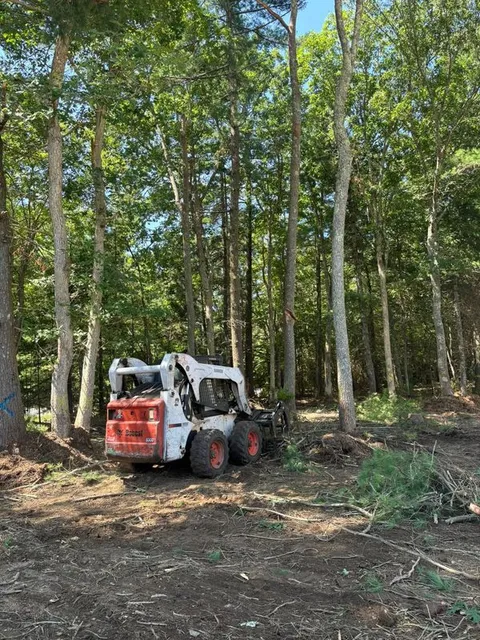 Land Clearing
