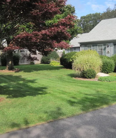 work photo from capescapeslandscaping.com