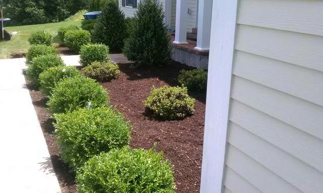 work photo from vpitollandscape.com