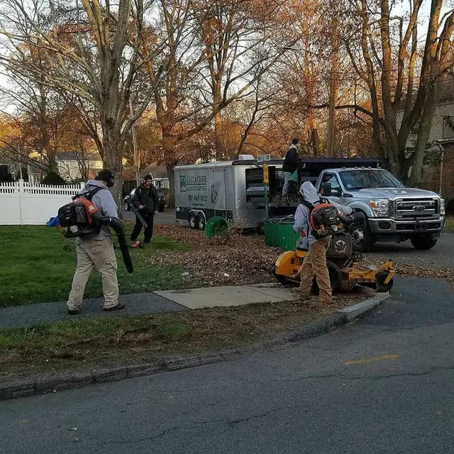 landscape design braintree ma