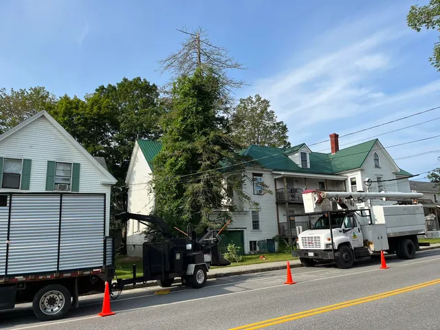 Marcotte's Tree Care Inc. work photo