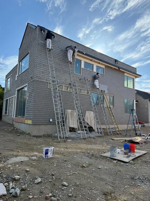 Lion's Pro Painting work photo