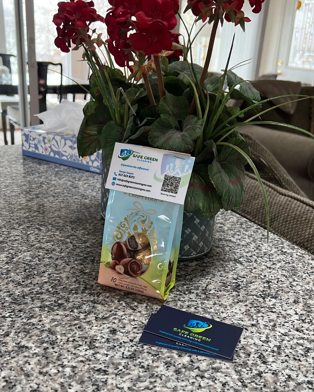 Safe Green Cleaning Services Inc.