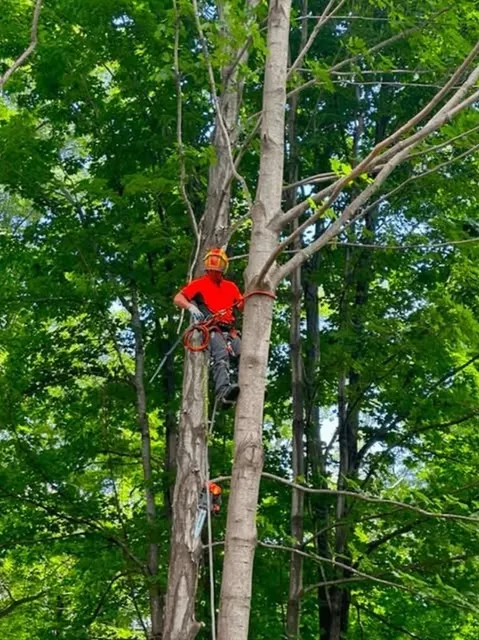 work photo from dcwoodservices.com