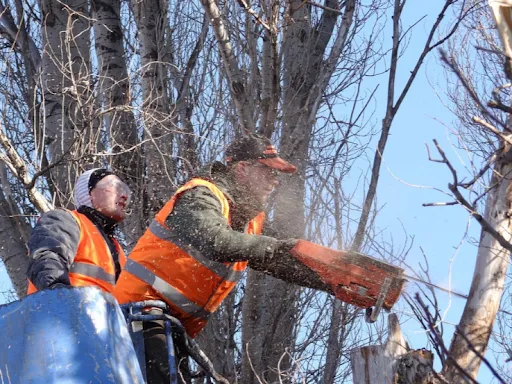 work photo from Google listing