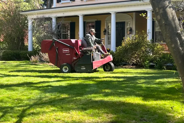 molloy-lawn-landscape-milton-ma-08
