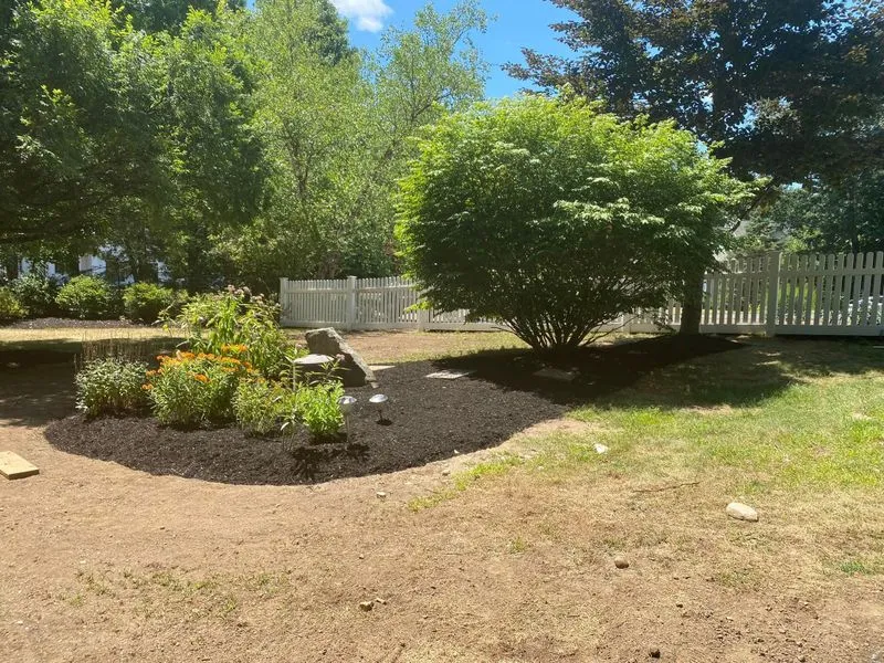 Pruning Services