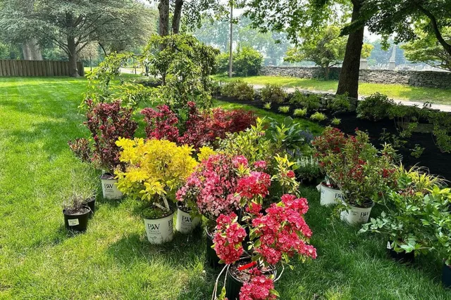 work photo from rosadolandscaping.com