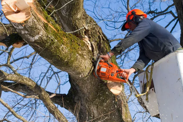 work photo from hawthornetreecapecod.com