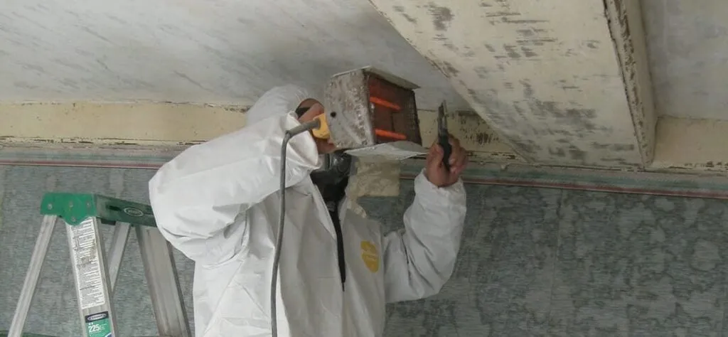 work photo from alpine-environmental.com