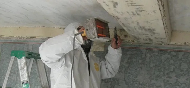 work photo from alpine-environmental.com