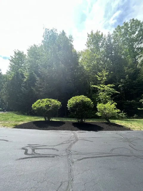 work photo from limitlesslawn.com