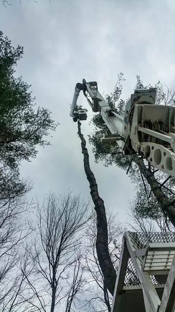 work photo from jwlandclearing.com