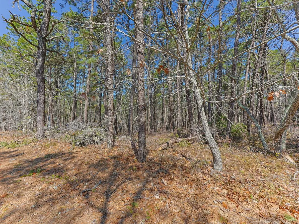 MLS #22601518 image #0