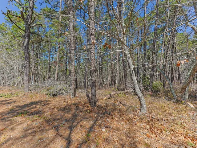 MLS #22601518 image #0