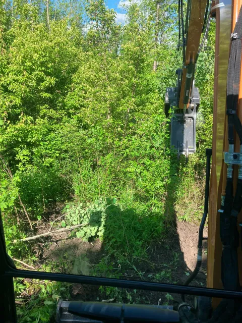 View from a construction or forestry vehicle looking at dense green trees and shrubbery. Part of the vehicle's window and hydraulic arm are visible on the right side.