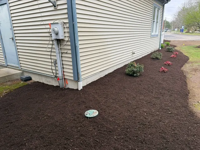 House corner with beige siding and brown mulch landscaping, small shrubs, and a utility meter on the wall