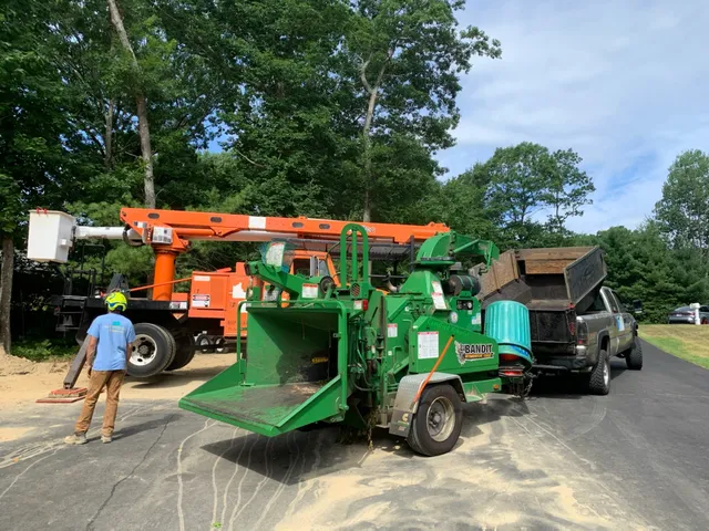 BRADS TREE SERVICE work photo