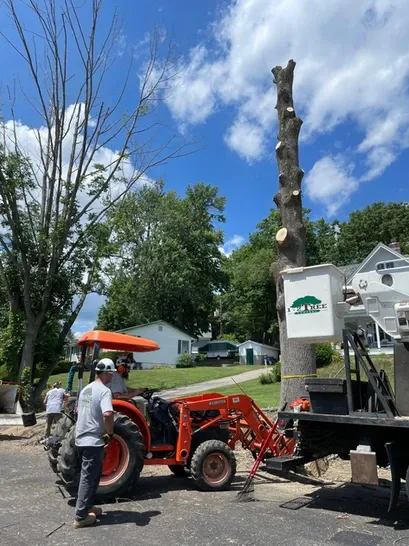 work photo from 12treecompany.com