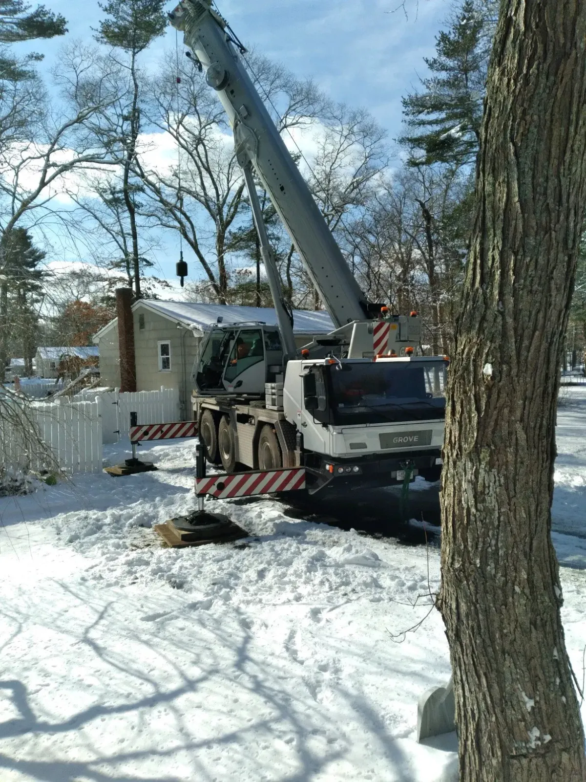 work photo from peterprotree.com