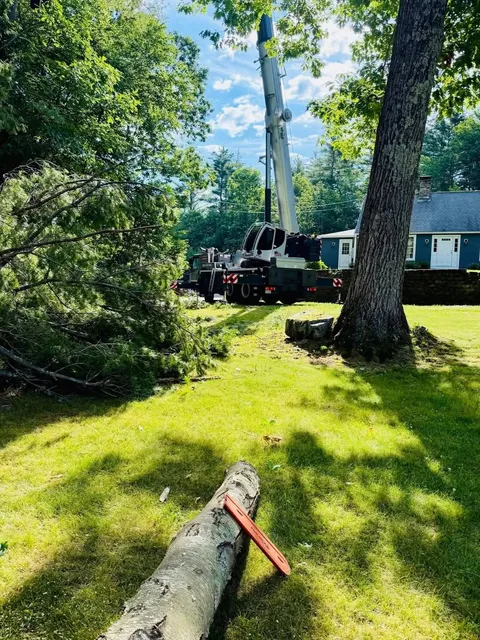work photo from dcwoodservices.com