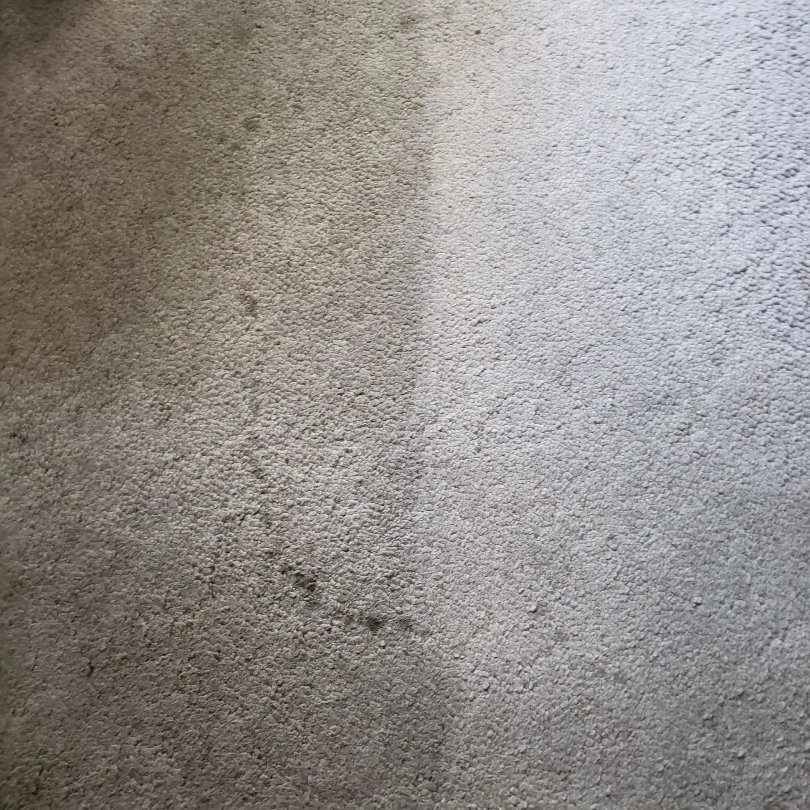 a close up of a dirty carpet next to a clean carpet