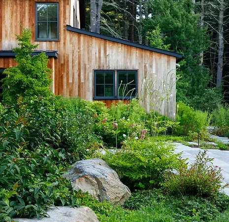 A wooden house surrounded by wild planting. Wilding Edge house Concord MA Crowley Cottrell LLCLandscape Architecture