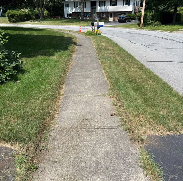 Overgrown sidewalk edge before trimming