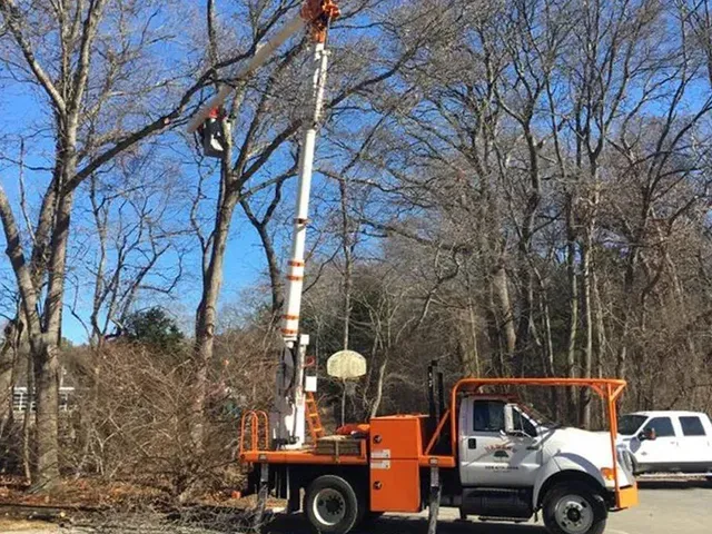 Bucket truck trimming trees along a wooded roadside in winter