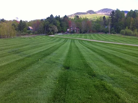 Loomis Property Services researched project photo