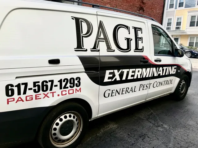 Page Exterminating Services, Inc. (Boston) work photo