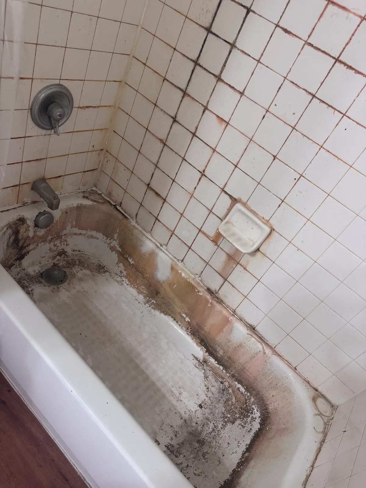 Fresh Start Cleaning researched project photo