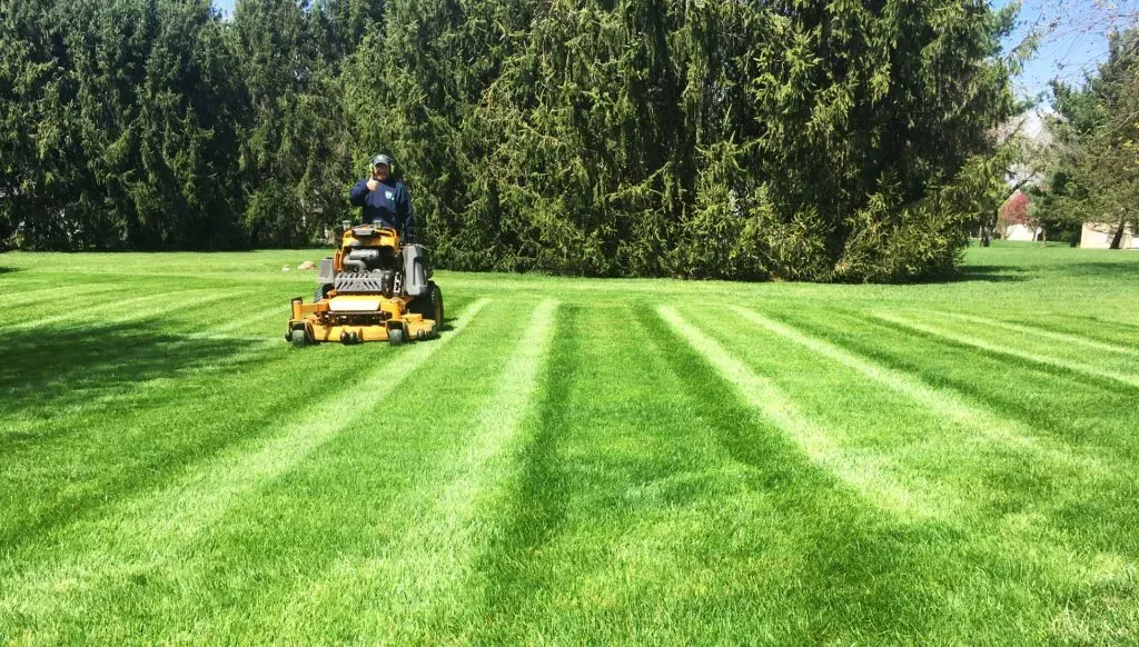 Crew member mowing a large striped lawn with a commercial stand-on mower
