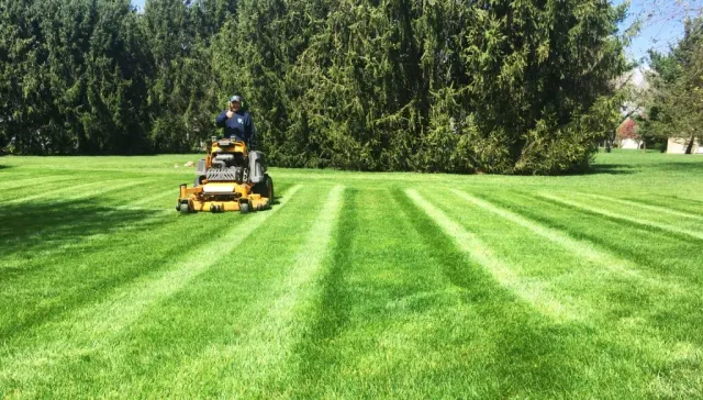 Crew member mowing a large striped lawn with a commercial stand-on mower