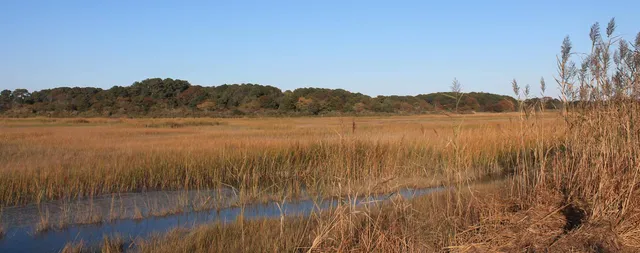work photo from hoppercapecod.com