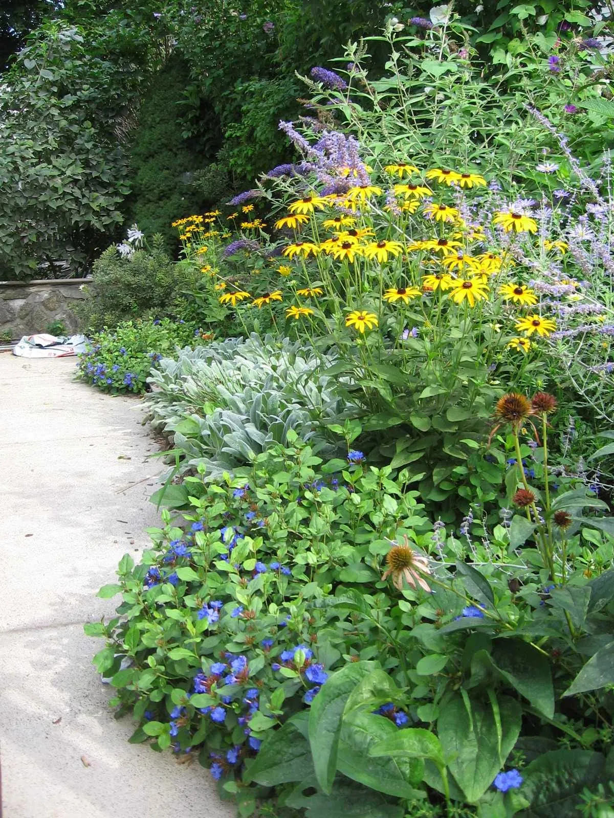 Sun and Shade Gardening