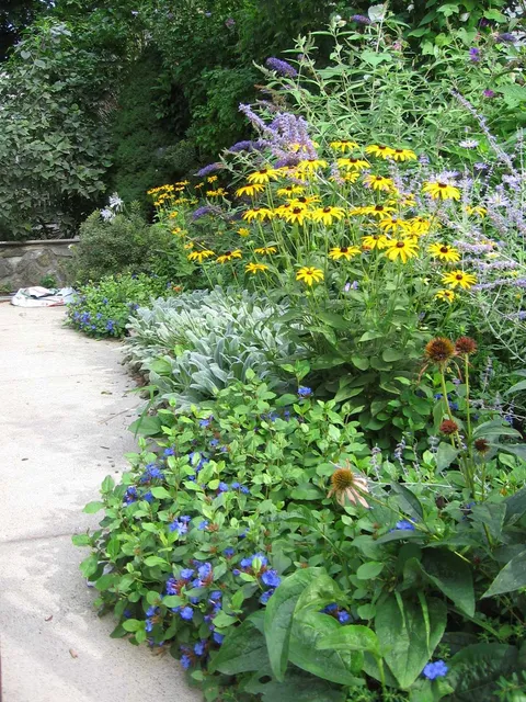 Sun and Shade Gardening