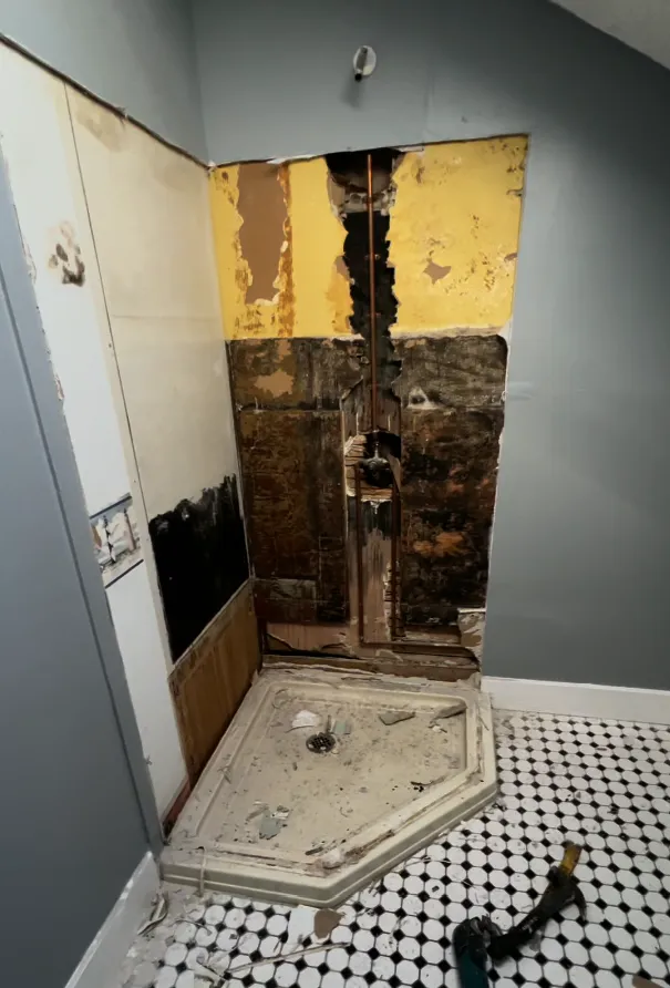 Shower gut — before