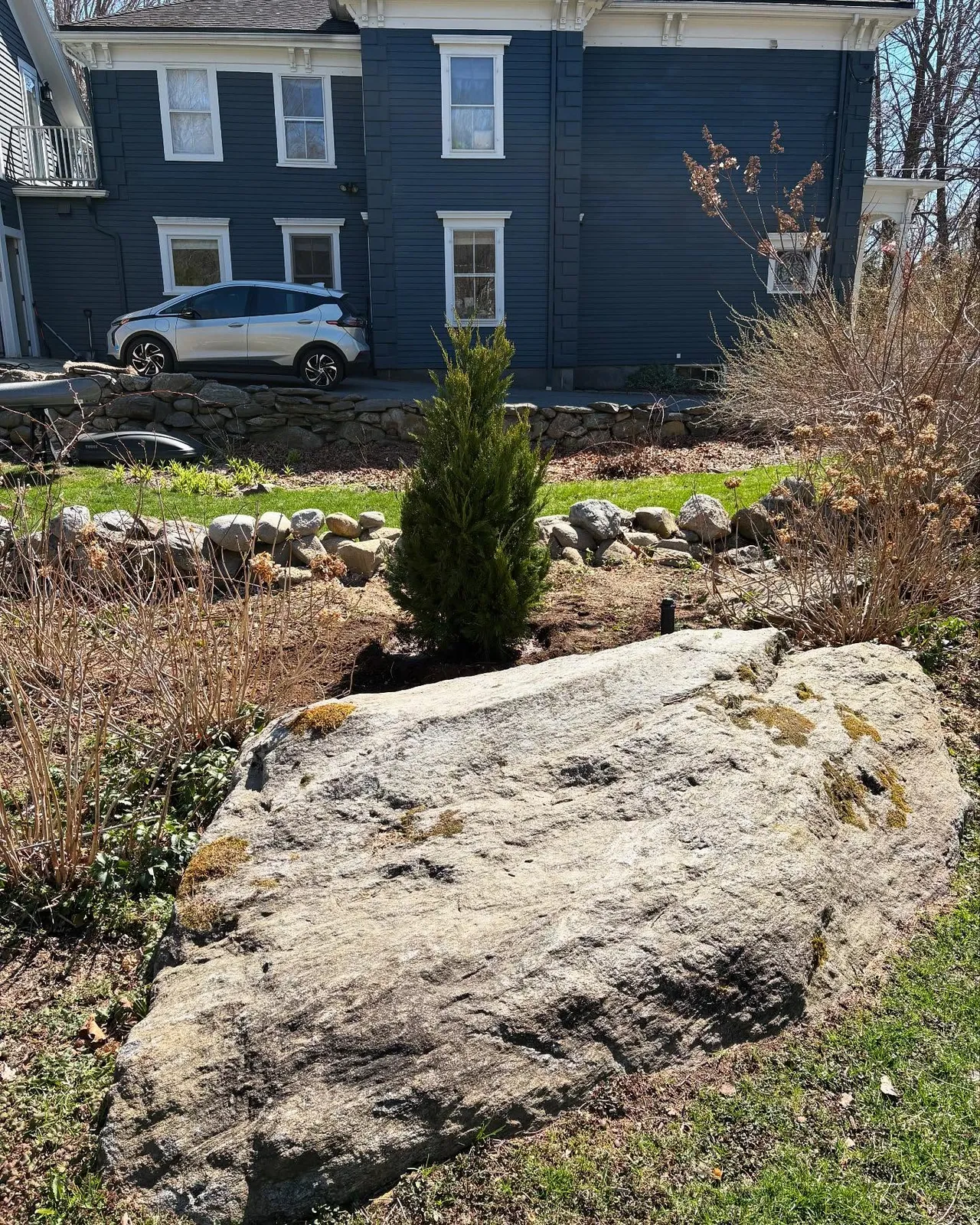 Grinding Stumps and Shrinking Trees . . . Spring has Sprung!🌲 🚜💐