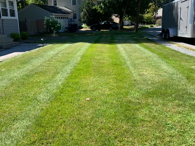 George Landscaping work photo