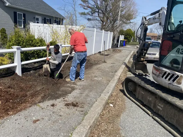 Tree Planting Services
