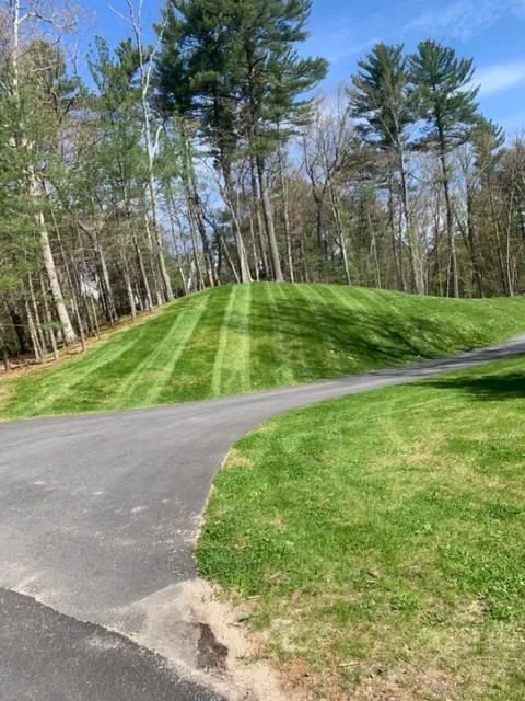 Image_20220317_193015.jpeg