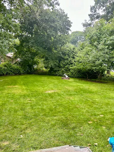 Review photo by victor diaz