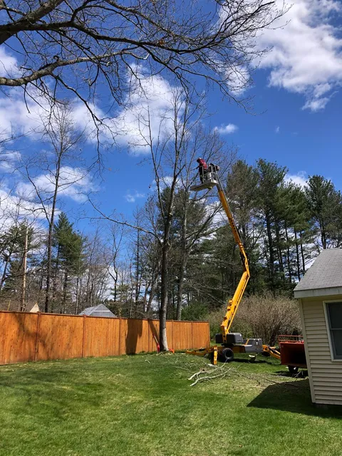 Southern NH Land Specialist work photo