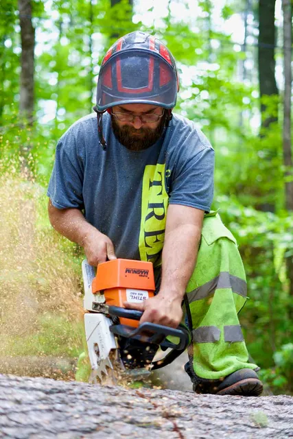 work photo from gardnertreeme.com