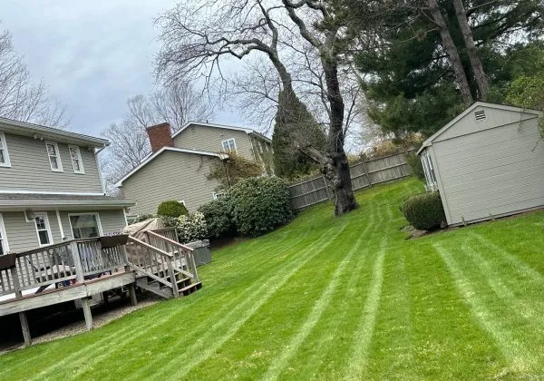 landscaping Maintenance
