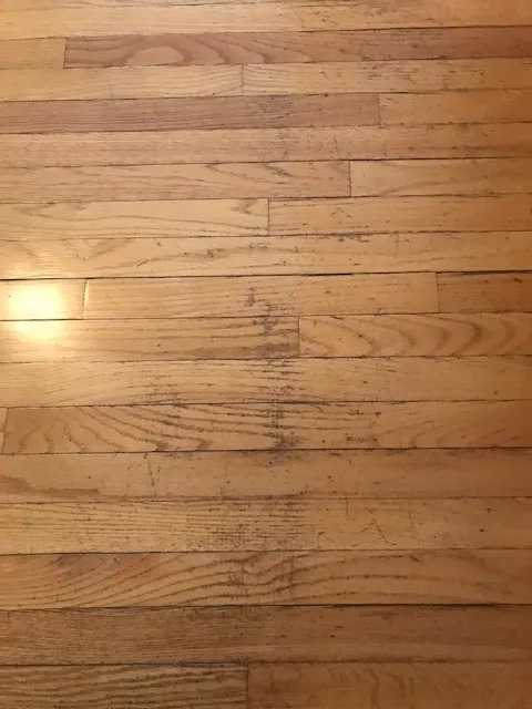 Jose Vazquez Hardwood Floors
