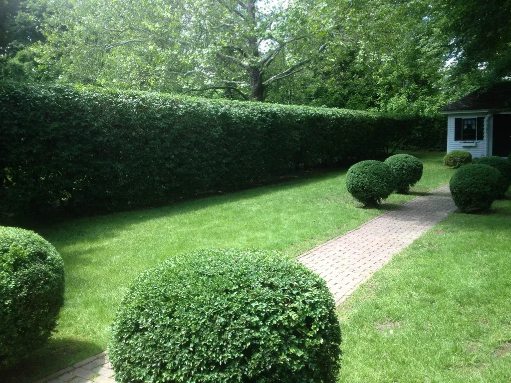 Frye's Landscaping Services researched project photo