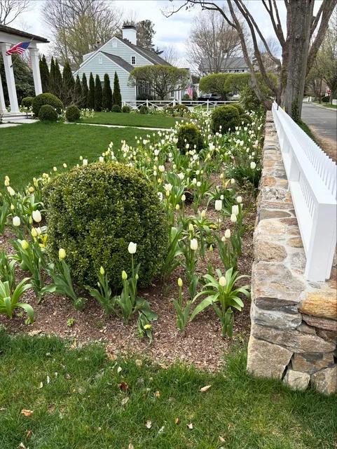 Let’s take your yard to the next level this year! Start planning your outdoor projects today
#springprojects #outdoorliving #fairfieldcountyct #pools #landscape